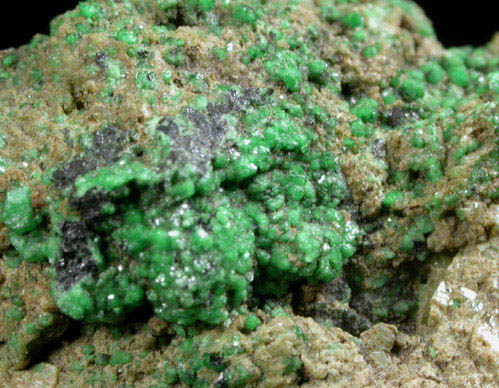 Grossular Garnet (chrome-rich) on Diopside from Orford Nickel Mine, 5.6 km southwest of Saint-Denis-de-Brompton, Qubec, Canada