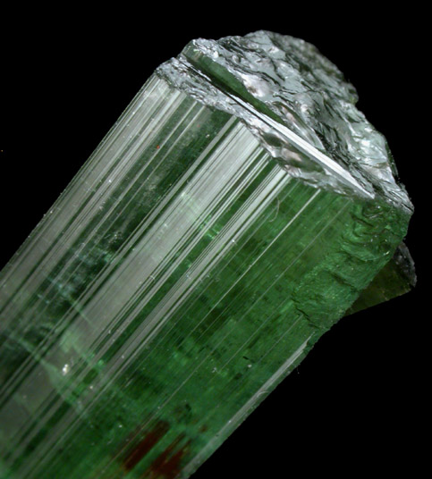 Elbaite Tourmaline from Gillette Quarry, Haddam Neck, Middlesex County, Connecticut