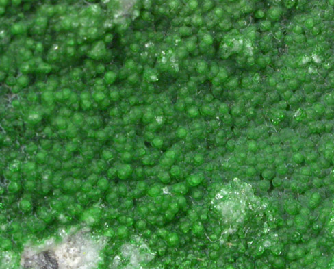 Zaratite on Chromite from Texas, State Line District, Lancaster County, Pennsylvania