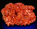 Crocoite from Dundas, Tasmania, Australia