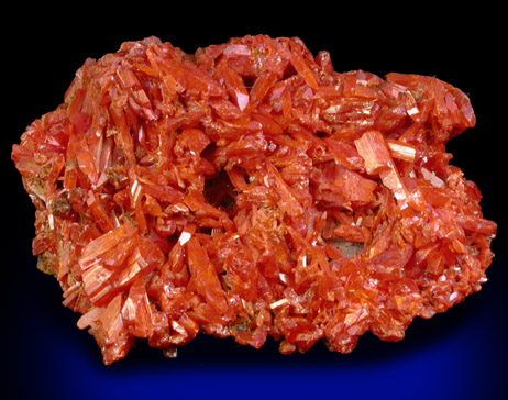 Crocoite from Dundas, Tasmania, Australia