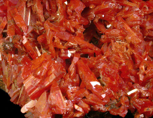 Crocoite from Dundas, Tasmania, Australia