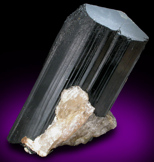 Schorl Tourmaline from (Berry-Havey Quarry), Poland, Androscoggin County, Maine