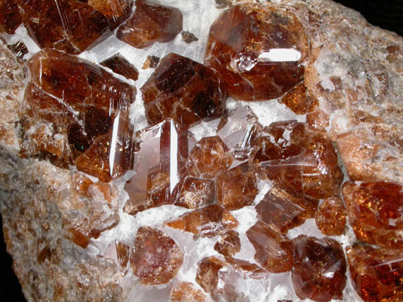 Grossular Garnet from north shore of Panther Pond (Camp Hinds), Raymond, Cumberland County, Maine