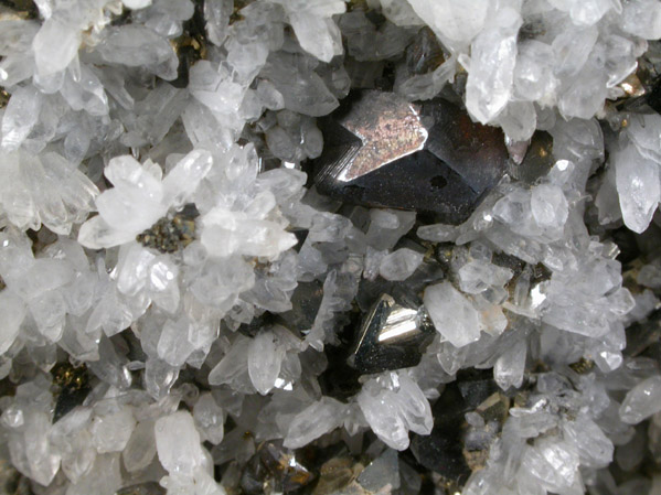 Tetrahedrite, Sphalerite, Quartz from North Star Mine, Sultan Mountain, Animas District, San Juan County, Colorado