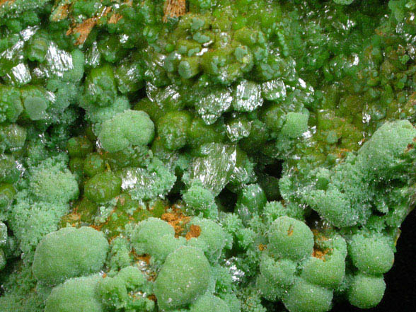 Pyromorphite from Wheatley Mine, Phoenixville, Chester County, Pennsylvania