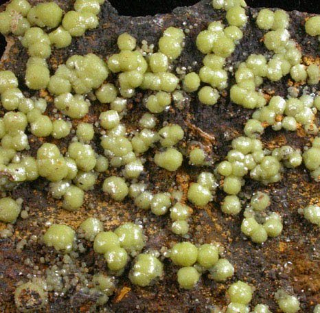 Mimetite var. Campylite from Prbram, Central Bohemia, Czech Republic