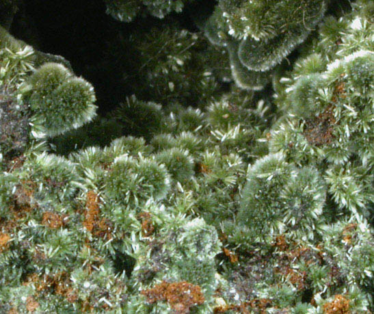 Olivenite from Carissa Mine, southeast slope of Mammoth peak, Tintic District, Juab County, Utah