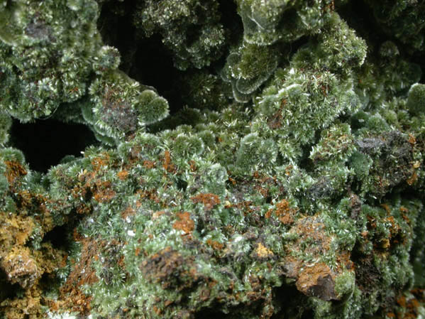 Olivenite from Carissa Mine, southeast slope of Mammoth peak, Tintic District, Juab County, Utah