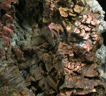 Chalcopyrite on Magnetite from French Creek Iron Mines, St. Peters, Chester County, Pennsylvania