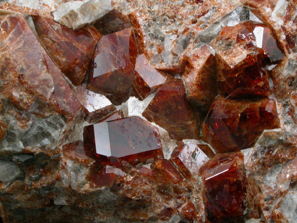 Grossular Garnet from north shore of Panther Pond (Camp Hinds), Raymond, Cumberland County, Maine