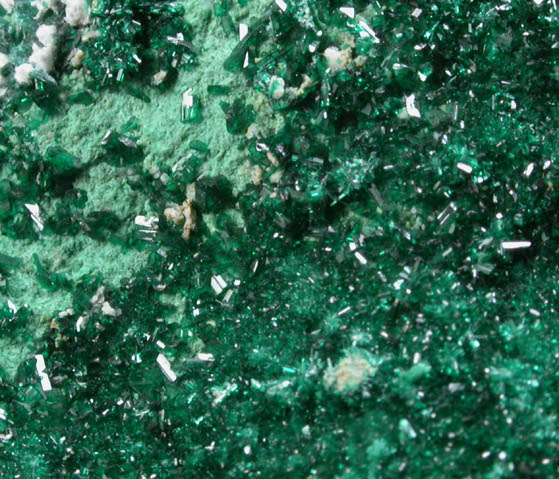 Brochantite from Frisco District, San Francisco Mountains, Beaver County, Utah