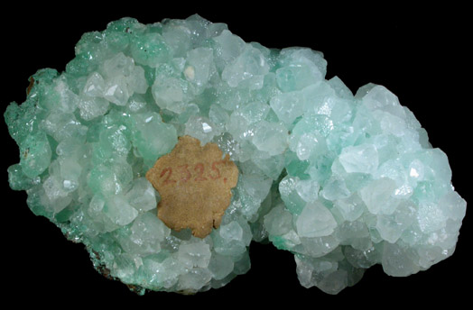 Aurichalcite with Calcite from Graphic Mine, Magdalena District, Socorro County, New Mexico