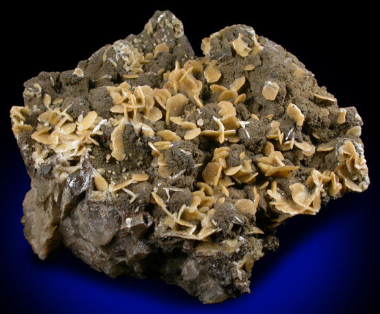 Siderite on Quartz from Mine Hill, Roxbury Station, Litchfield County, Connecticut