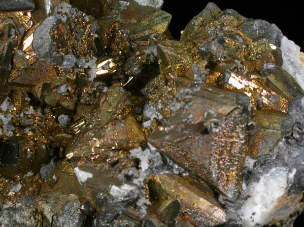 Tetrahedrite, Chalcopyrite, Galena, Quartz from Herodsfoot Mine, Lanreath, Liskeard District, Cornwall, England