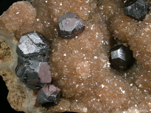 Limonite pseudomorphs after Pyrite on Quartz from Boscobel, Grant County, Wisconsin