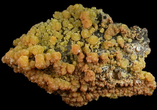 Mimetite from San Pedro Corralitos, Casas Grandes, Chihuahua, Mexico