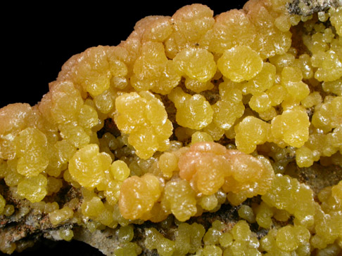 Mimetite from San Pedro Corralitos, Casas Grandes, Chihuahua, Mexico