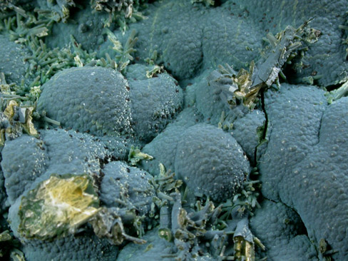 Chrysocolla pseudomorph after Vanadinite and after Wulfenite from Globe-Miami District, Gila County, Arizona