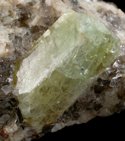 Beryl from North Groton District, Grafton County, New Hampshire