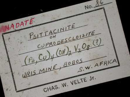 Mottramite var. Psittacinite on Descloizite from Uris Mine, Bobos Area, Otavi-Bergland District, Oshikoto, Namibia