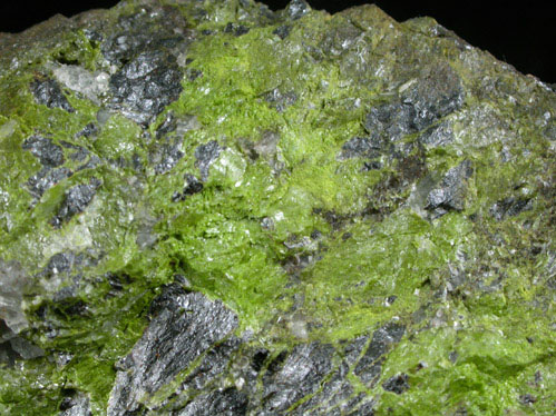 Mottramite var. Psittacinite on Descloizite from Uris Mine, Bobos Area, Otavi-Bergland District, Oshikoto, Namibia