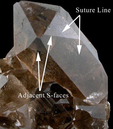 Quartz var. Smoky Dauphin-law Twins from St. Gotthard, Kanton Uri, Switzerland