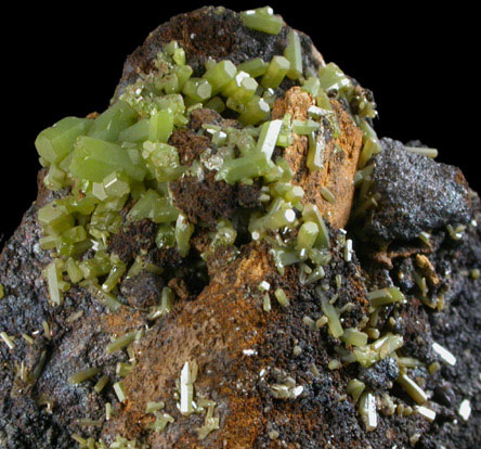 Pyromorphite from Little Giant Mine, near Mullan, Coeur d'Alene District, Shoshone County, Idaho