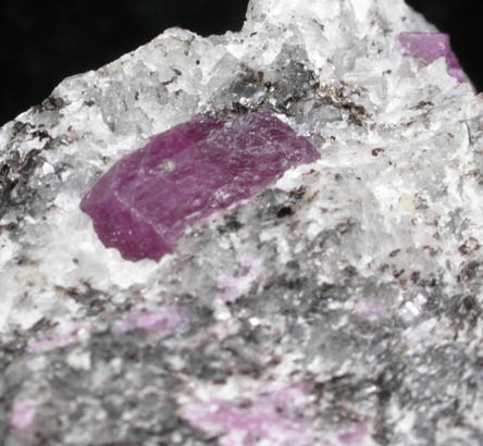 Corundum var. Ruby from Mysuru (formerly Mysore), Karnataka, India