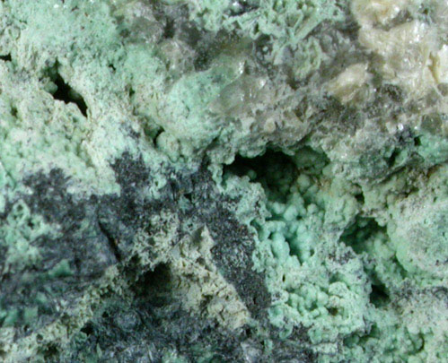 Turquoise var. Rashleighite from Bunny Mine, St. Austell, Cornwall, England