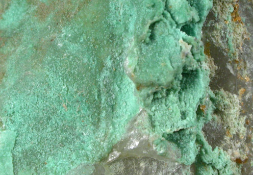 Turquoise var. Rashleighite from Bunny Mine, St. Austell, Cornwall, England
