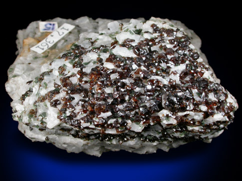 Andradite var. Colophanite Garneted, Diopside, Wollastonite from Willsboro, Essex County, New York