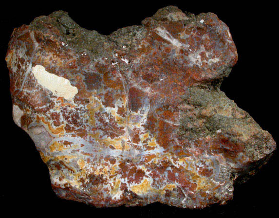 Quartz var. Silicified Wood (Petrified Wood) from Petrified Forest, Apache County, Arizona