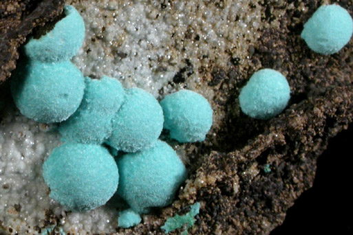 Rosasite from Silver Bill Mine, Courtland-Gleeson District, Cochise County, Arizona