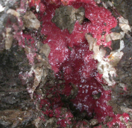 Cuprite var. Chalcotrichite from Cornwall, England