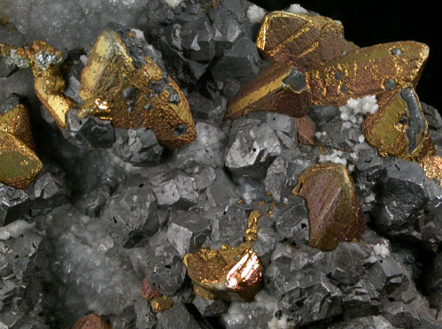 Tetrahedrite, Chalcopyrite, Galena, Quartz from Herodsfoot Mine, Lanreath, Liskeard District, Cornwall, England