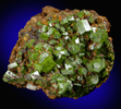 Pyromorphite from Coeur d'Alene District, Shoshone County, Idaho