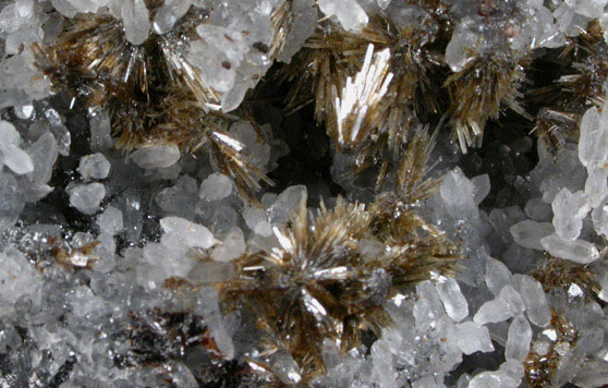 Cassiterite var. Needle-Tin from Monserrat-Antequera District, Oruro Department, Bolivia