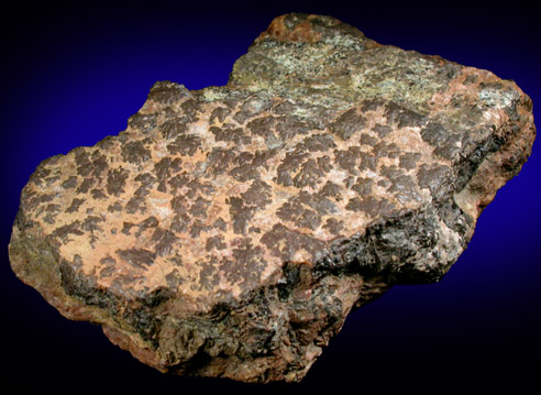Zircon var. Cyrtolite from (Kinkel Quarry?), Bedford, Westchester County, New York