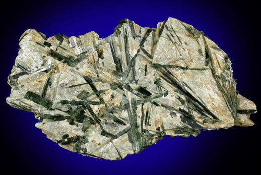 Actinolite in Muscovite from Groer Greiner, Zillertal, Nordtirol, Austria