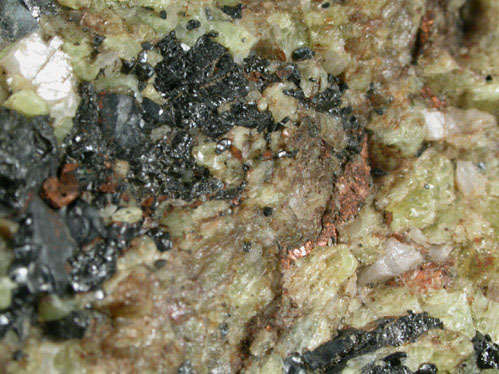 Copper, Willemite and Franklinite from Franklin Mining District, Sussex County, New Jersey (Type Locality for Franklinite)