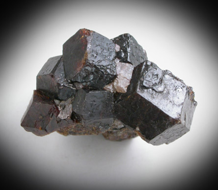 Andradite Garnet from Franklin Mining District, Sussex County, New Jersey