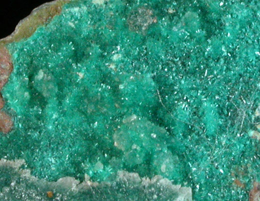 Dioptase from Mammoth-St. Anthony Mine, Tiger, Mammoth District, Pinal County, Arizona