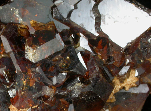 Grossular Garnet from Vesper Peak, Snohomish County, Washington