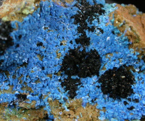 Tenorite and Azurite from Morenci Mine, Clifton District, Greenlee County, Arizona