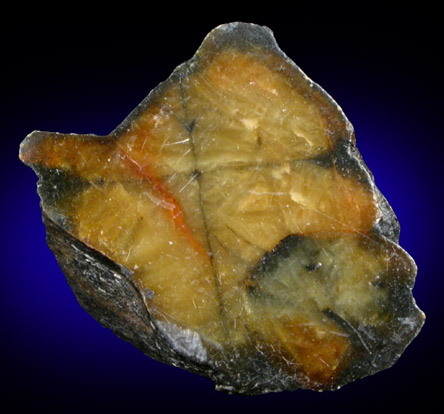 Andalusite var. Chiastolite from Blue Wing Mountains, Pershing County, Nevada