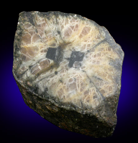 Andalusite var. Chiastolite from Blue Wing Mountains, Pershing County, Nevada