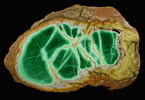 Variscite with Crandallite and Wardite from Little Green Monster Mine, Clay Canyon, Fairfield, Utah County, Utah (Type Locality for Wardite)