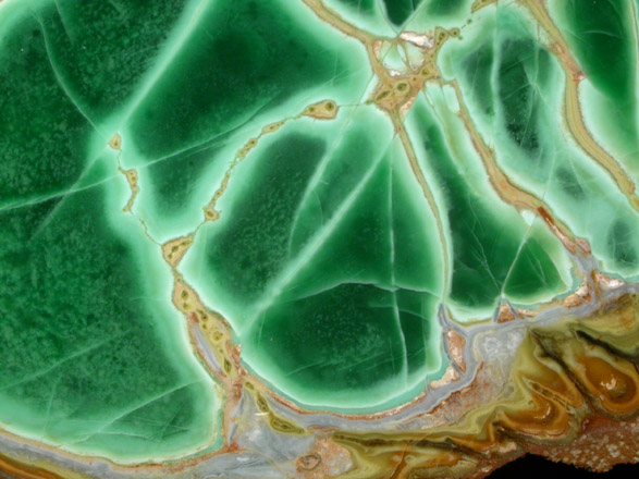 Variscite with Crandallite and Wardite from Little Green Monster Mine, Clay Canyon, Fairfield, Utah County, Utah (Type Locality for Wardite)