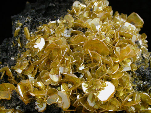 Wulfenite from Silver Bill Mine, Courtland-Gleeson District, Cochise County, Arizona